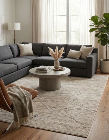 8' x 10' Silta Rug