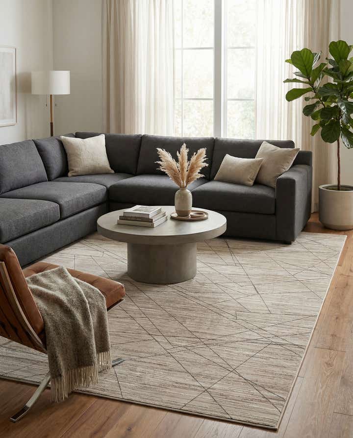 8' x 10' Silta Rug