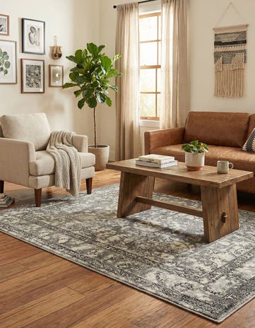 4' x 6' Miranda Rug