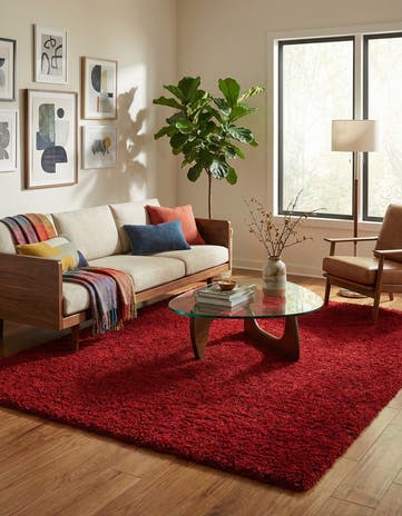 9' x 12' Infinity Shag Rug