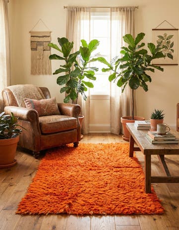 3' 6 x 6' 3 Hand Knotted Moroccan Wool Rug