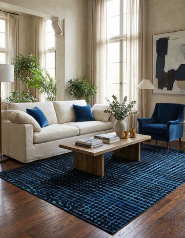 8' 8 x 10' 4 Hand Knotted Darya Wool Rug