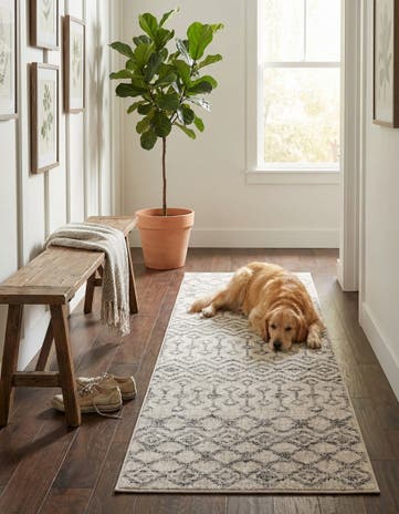 2' x 6' Eco Trellis Runner Rug