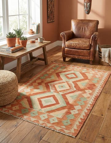 2' 9 x 4' 3 Hand Woven Kilim Waziri Wool Rug