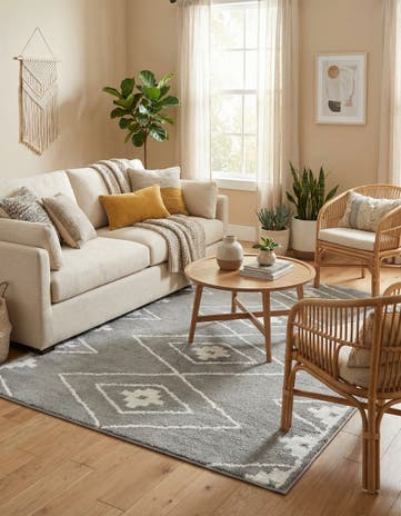 5' x 7' Oslo Rug
