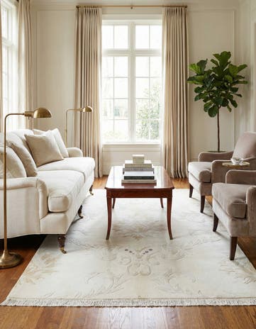 3' 11 x 5' 11 Darya Rug