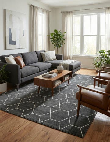 10' x 13' Lattice Frieze Rug