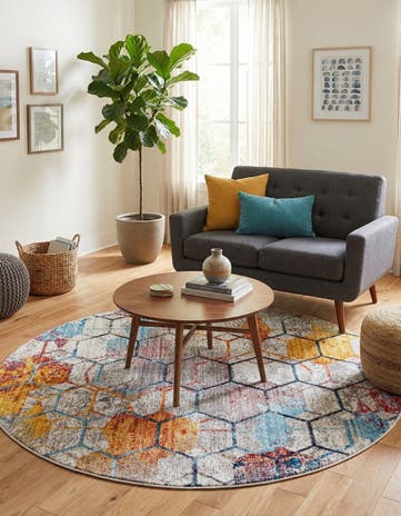 5' 3 x 5' 3 Andromeda Round Rug