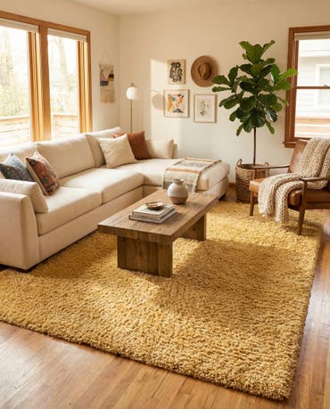  10' x 13' Zermatt Shag Rug