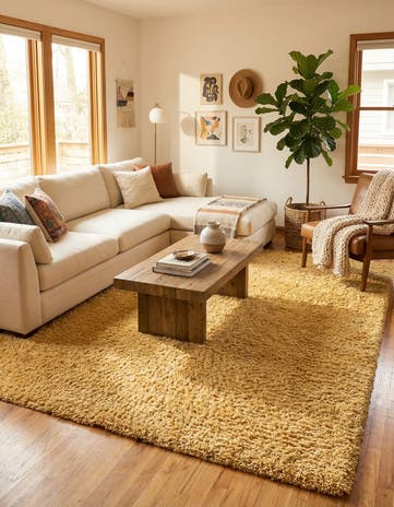 10' x 13' Zermatt Shag Rug