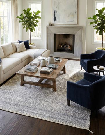 9' 4 x 12' 1 Hand Knotted Darya Wool Rug