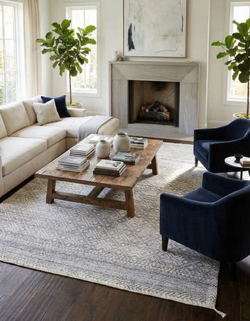 9' 4 x 12' 1 Hand Knotted Darya Wool Rug