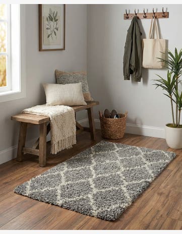 2' x 3' Trellis Shag Rug