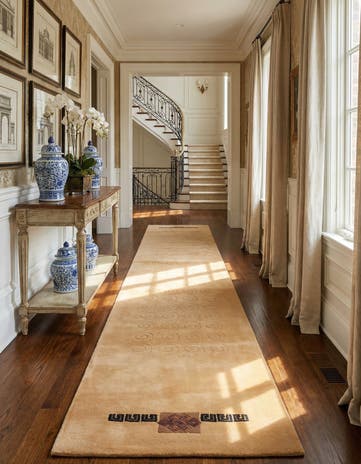 2' 6 x 13' 1 Darya Runner Rug