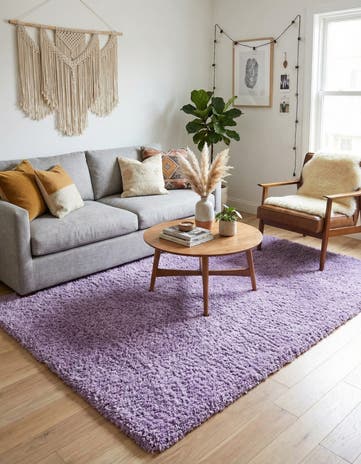 5' 3 x 8' Solid Shag Rug