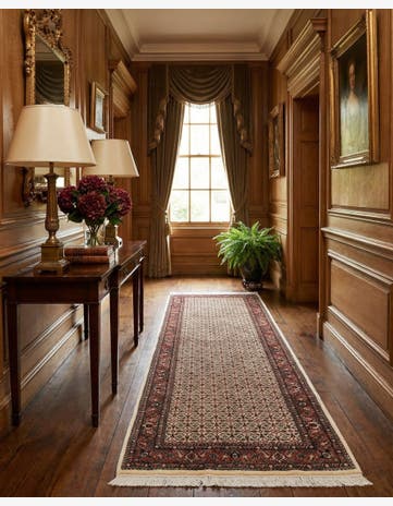 2' 7 x 8' 2 Bidjar With Silk Runner Rug