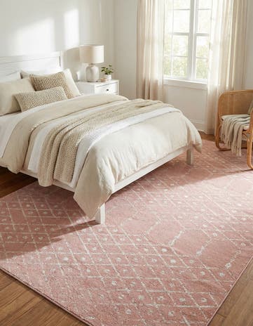 10' x 14' Paxon Trellis Rug