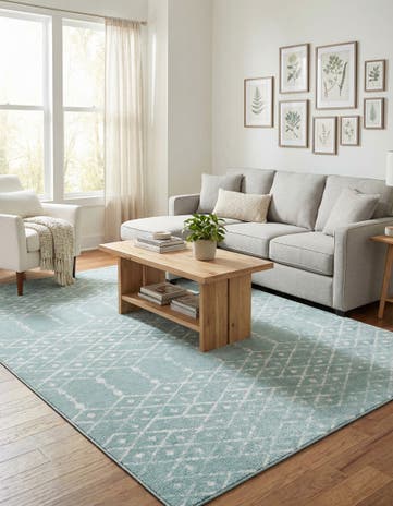 9' x 12' Paxon Trellis Rug