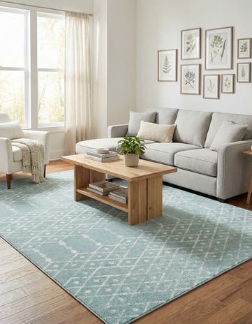 9' x 12' Paxon Trellis Rug