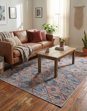 4' x 6' Washable Sisu Rug