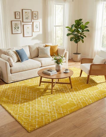 9' x 12' Paxon Trellis Rug