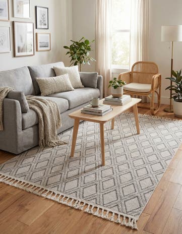 5' 3 x 8' Arlo Rug