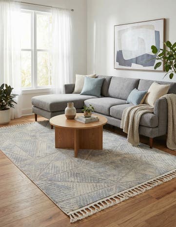 5' 3 x 8' Arlo Rug