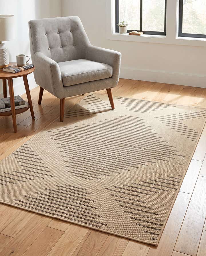 4' x 6' Dunes Rug