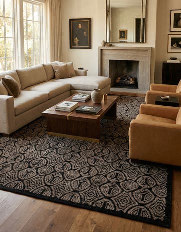 9' 8 x 14' 2 Hand Knotted Darya Wool Rug
