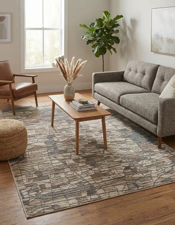 4' x 6' Silta Rug