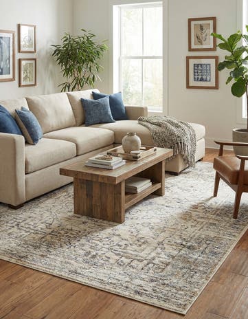 9' x 12' 2 Charlotte Rug