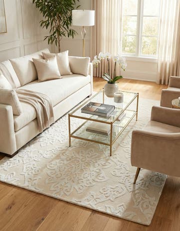 4' x 6' Darya Rug