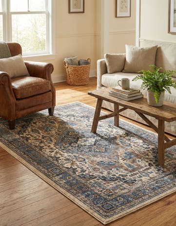 3' 3 x 5' 3 Medina Rug