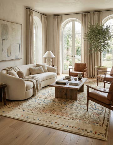8' 10 x 11' 7 Hand Knotted Darya Wool Rug