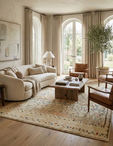 8' 10 x 11' 7 Hand Knotted Darya Wool Rug