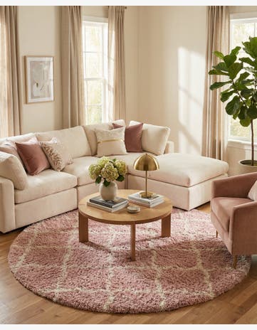 10' x 10' Trellis Shag Round Rug