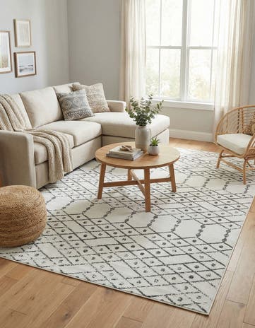 9' x 12' Paxon Trellis Rug