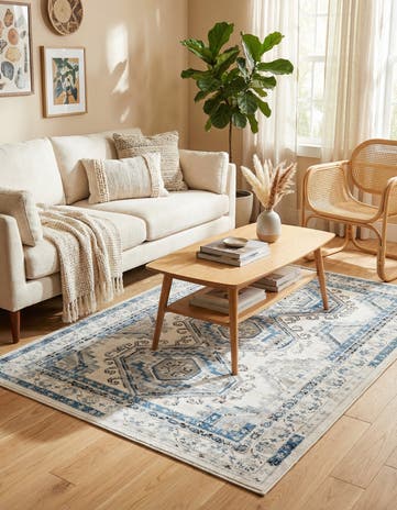 4' x 6' Charlotte Rug