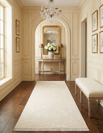 3' 3 x 9' 11 Darya Runner Rug