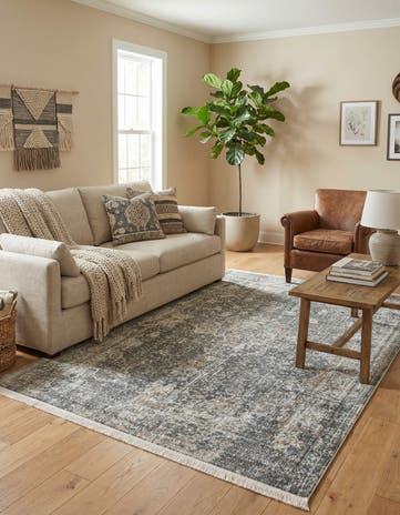4' 3 x 6' Santiago Rug