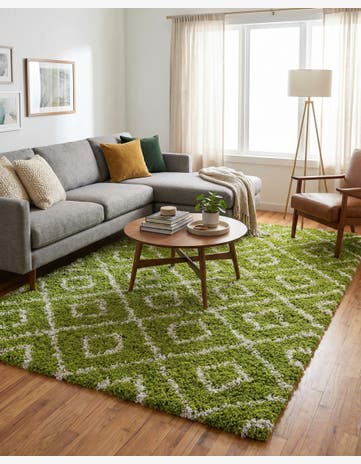 9' x 12' Trellis Shag Rug