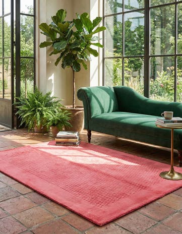 3' 11 x 5' 11 Darya Rug