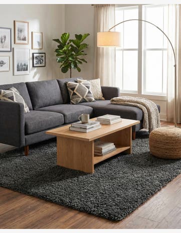 4' x 6' Zermatt Shag Rug