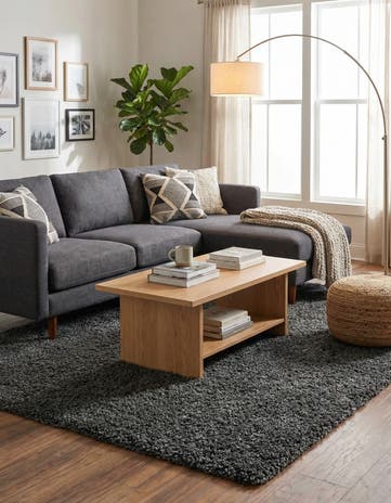 4' x 6' Zermatt Shag Rug