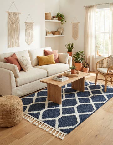 4' x 6' Boho Rug