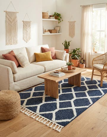 4' x 6' Boho Rug
