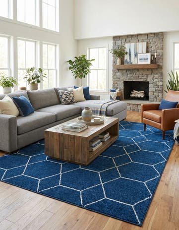 10' x 14' Lattice Frieze Rug