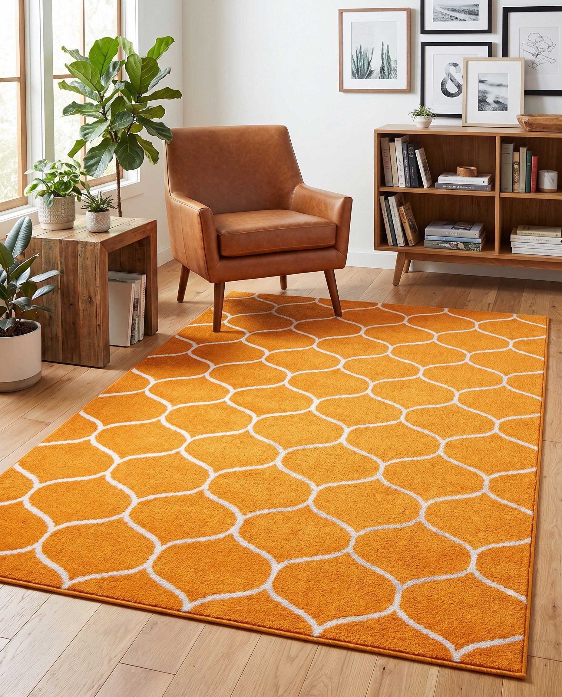 5' 3 x 8' Trellis Frieze Rug