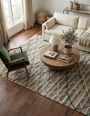 6' 7 x 9' 6 Hand Knotted Darya Wool Rug