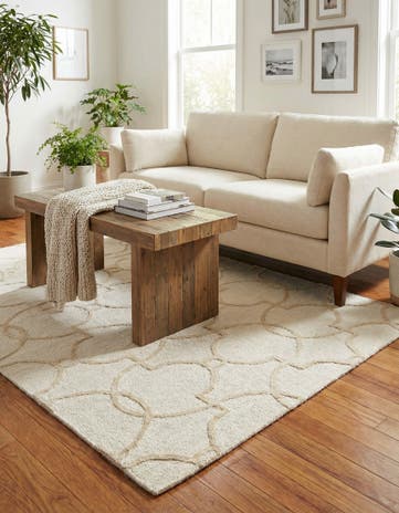 4' x 6' Luna Rug
